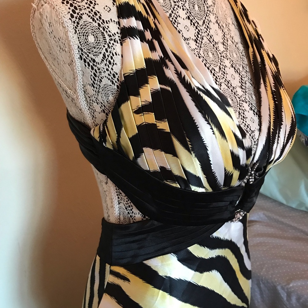 Zebra Pattern Gown - image 3